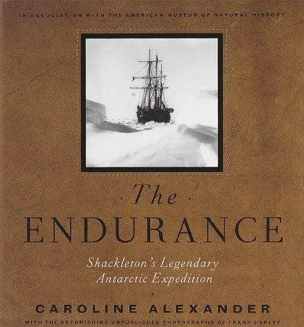 Book cover of Endurance